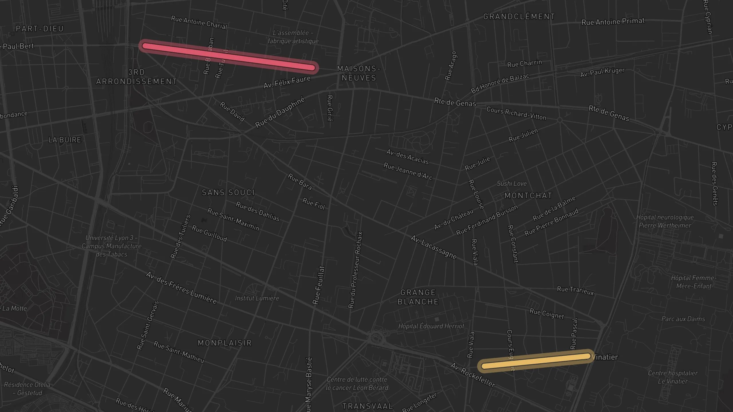 Map of street alignments in Lyon